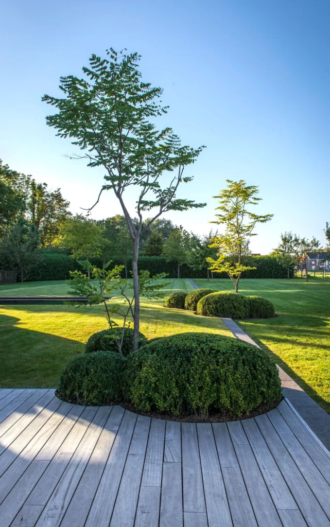 totaalproject-merchtem-1