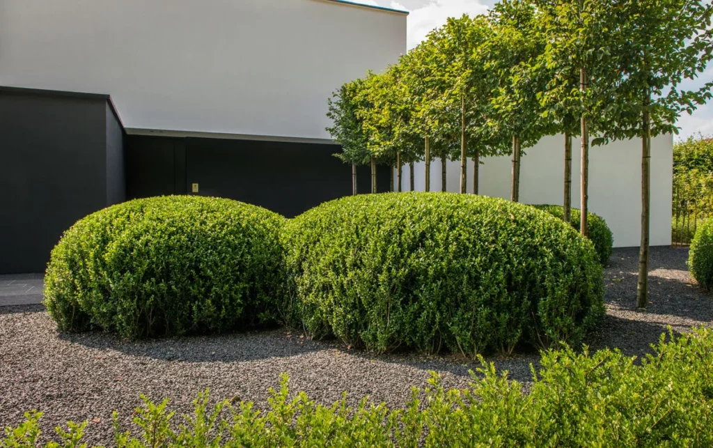 totaalproject-st-martens-latem-1